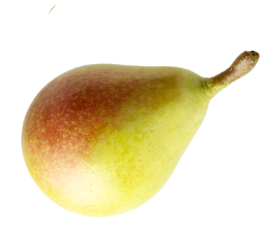 pear-image
